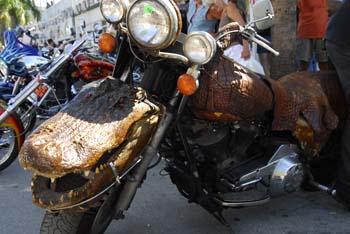 Poker Run 2008 photo - Duval Street, Key West